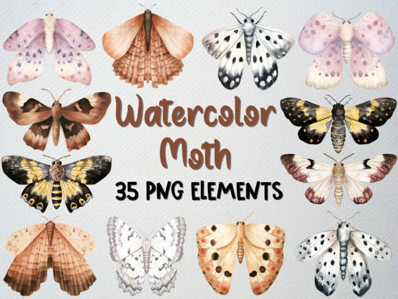 Download Watercolor Moth Clipart, Insect Clipart - Premium Bundle