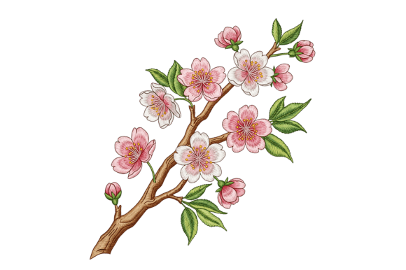 Download Delicate Pink Cherry Blossoms - Blossoms Collection